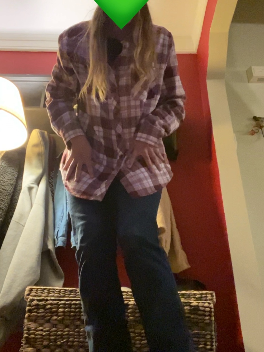 Flannel - Picture 3 of 3